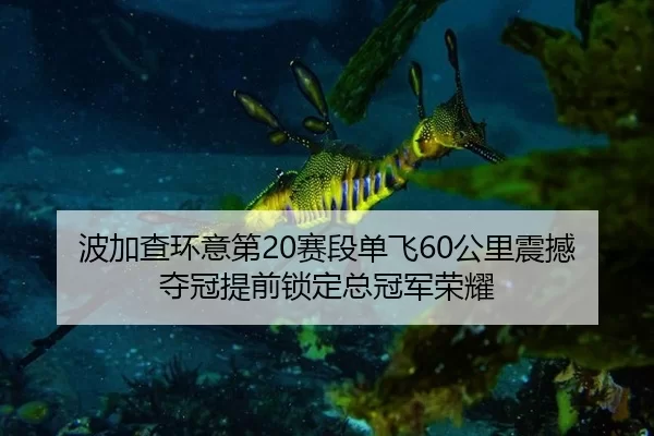 bo-jia-cha-huan-yi-di-sai-duan-dan-fei-gong-li-zhen-han-duo-guan-ti-qian-suo-ding-zong-guan-jun-rong-yao-2-791.jpg